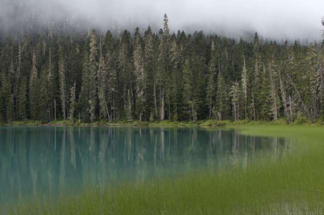 Blue glacial lake in an evergreen forest, British Columbia, Canada