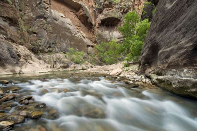 Virgin River reflecting the walls of the Narrows, Zion National Park, Utah, USA