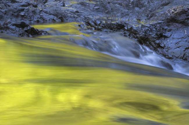 Reflections in Sol Duc River, Olympic National Park, Washington, USA