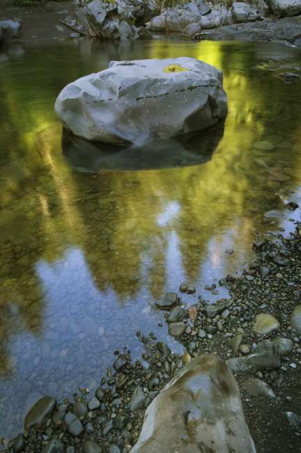 Reflections in Sol Duc River, Olympic National Park, Washington, USA