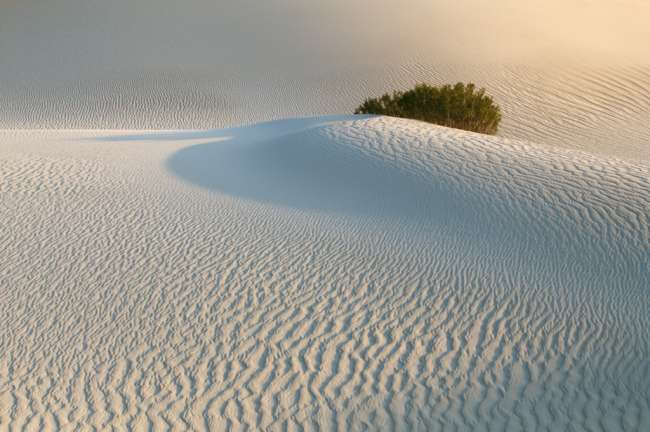 Sand Dunes, Death Valley National Park, California, USA