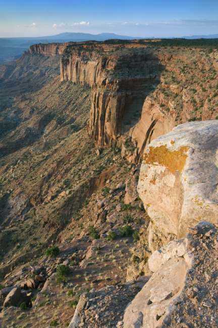 Canyon overlook in the Island in the sky district, Canyonlands National Park, Utah, USA
