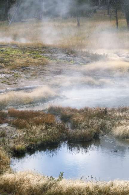Thermal pool, Yellowstone National Park, Wyoming, USA