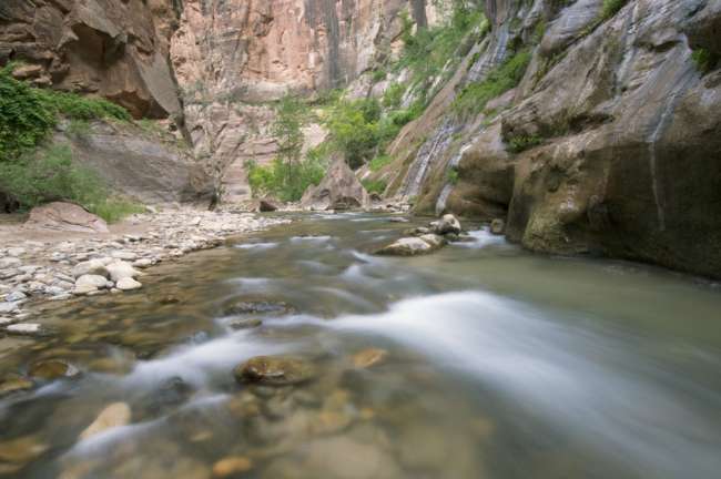 Virgin River reflecting the walls of the Narrows, Zion National Park, Utah, USA
