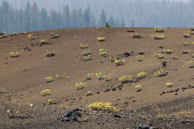 Painted Dunes area, Lassen Volcanic National Park, Mount Lassen, California, USA