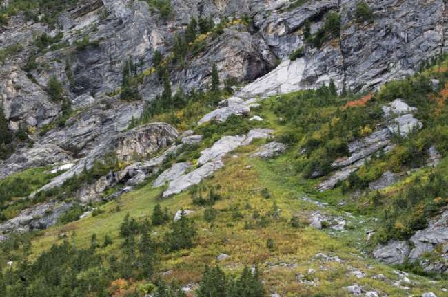 Autumn color on Paintbrush Canyon's alpine slopes, Grand Teton National Park, Wyoming, USA