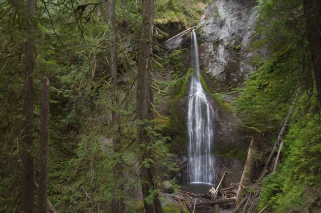 Marymere Falls, Olympic National Park, Washington, USA