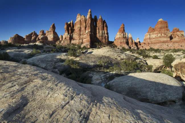 Rock formations in The Needles district, Canyonlands National Park, Utah, USA