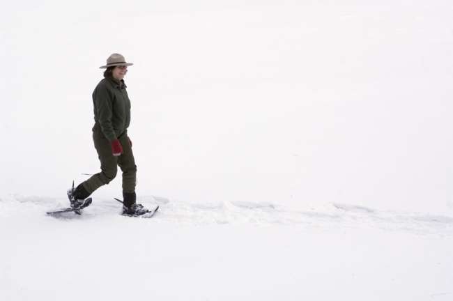 Terry Tucker and volunteer, snowshoeing and inspecting animal tracks along the Black bay ski Trail, Rainy Lake, Voyageurs National Park, Minnesota, USA