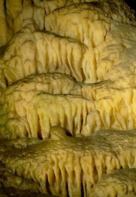 The Golden Fleece formation, Drapery Room, Frozen Niagara, Mammoth Cave, Mammoth Cave National Park, Kentucky, KY, USA