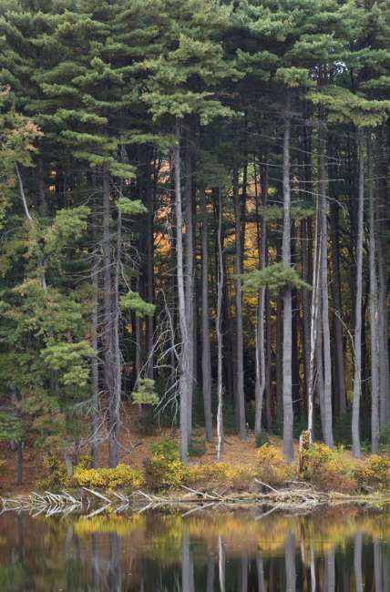 Harriman State Park, New York, USA