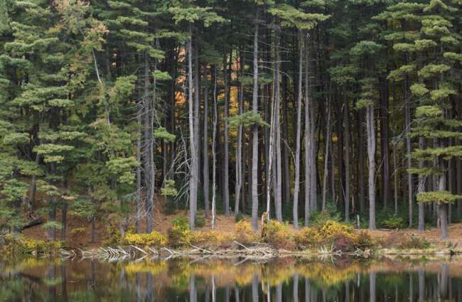 Harriman State Park, New York, USA