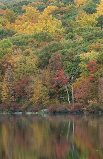 Harriman State Park, New York, USA