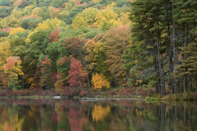 Harriman State Park, New York, USA
