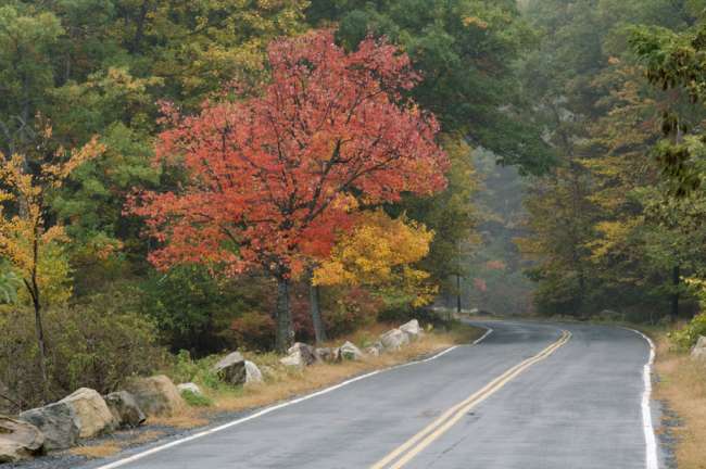 Harriman State Park, New York, USA
