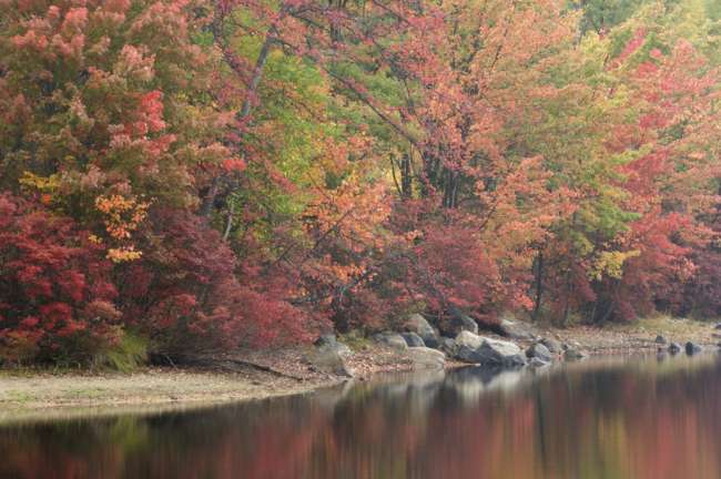 Harriman State Park, New York, USA