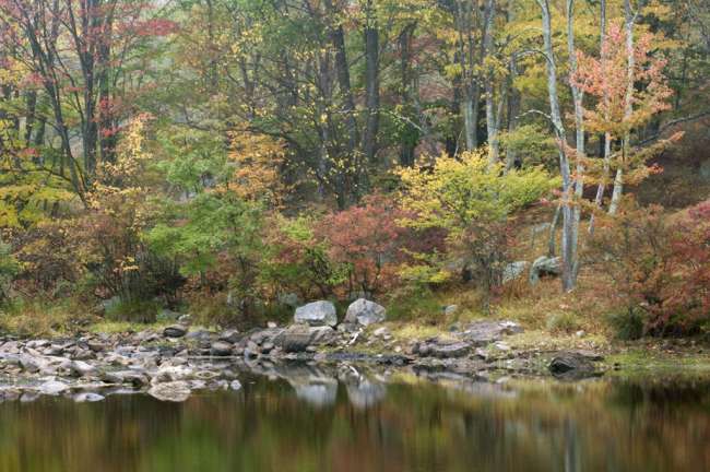 Harriman State Park, New York, USA