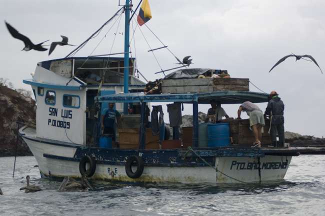 Fisherman at sea, Galapagos National Park, Ecuador