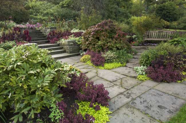 Cornell University Herb Garden, New York, USA