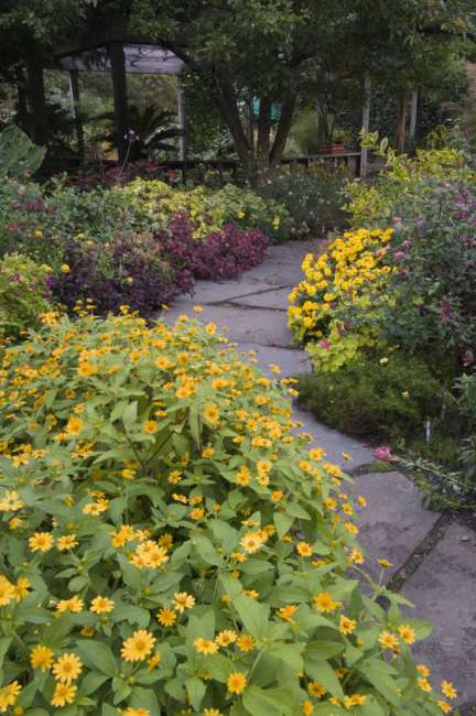 Cornell University Herb Garden, New York, USA