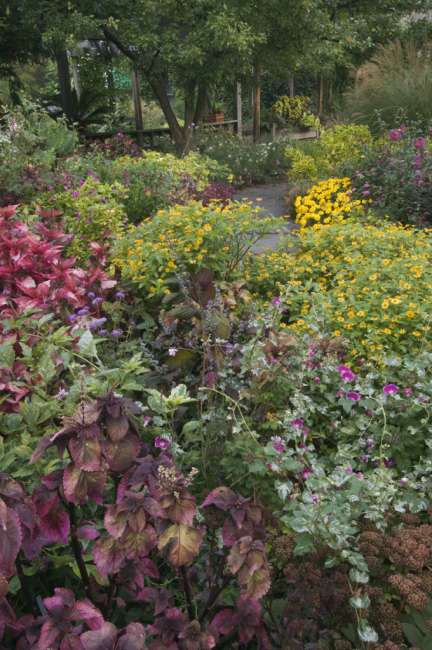Cornell University Herb Garden, New York, USA