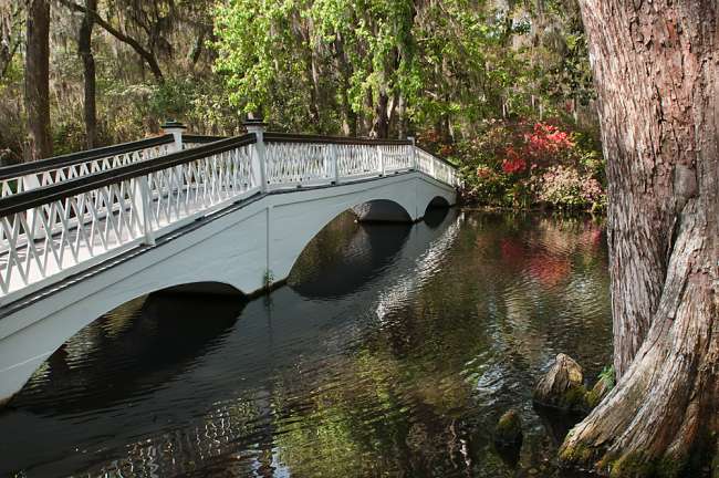 Charleston, South Carolina, USA.  A bridge in Magnolia Gardens.