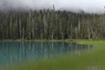 Blue glacial lake in an evergreen forest, British Columbia, Canada