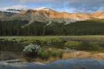 Marsh at sunset along the Icefields Parkway, Banff National Park, Banff, Canada