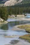 Rivers run through a lowland section of Jasper National Park, Jasper Canada