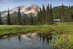 Wildflowers below the peak of Mount Rainier.  A ptrol cabin near Indian Henry's Hunting Grounds sits below the towering peak.  Mount Rainier National Park, Washington, USA