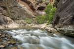 Virgin River reflecting the walls of the Narrows, Zion National Park, Utah, USA