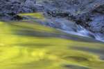 Reflections in Sol Duc River, Olympic National Park, Washington, USA