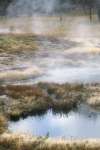 Thermal pool, Yellowstone National Park, Wyoming, USA