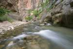 Virgin River reflecting the walls of the Narrows, Zion National Park, Utah, USA