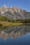 The grand Teton Range seen from Schwabacher Road, Grand Teton National Park, Wyoming, USA