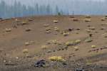 Painted Dunes area, Lassen Volcanic National Park, Mount Lassen, California, USA
