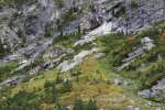 Autumn color on Paintbrush Canyon's alpine slopes, Grand Teton National Park, Wyoming, USA