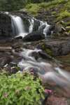 Waterfall and wildflowers, Waterton Glacier International Peace Park, USA - Canada
