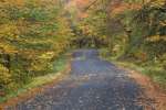 Roadside fall foliage, Southern Vermont, USA
