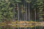 Harriman State Park, New York, USA