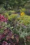 Cornell University Herb Garden, New York, USA