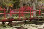 Charleston, South Carolina, USA.  Azaleas in bloom ialong a bridge n the spring.