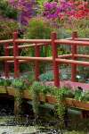 Charleston, South Carolina, USA.  Azaleas in bloom ialong a bridge n the spring.
