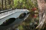 Charleston, South Carolina, USA.  A bridge in Magnolia Gardens.