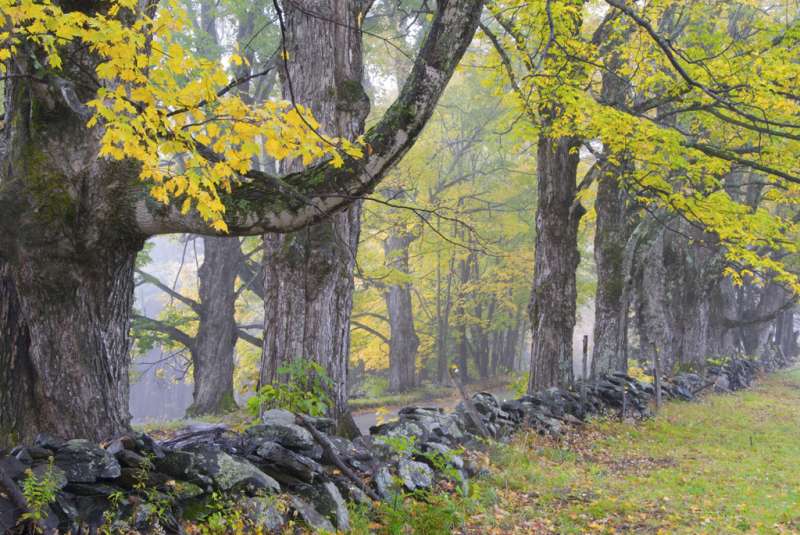Fall foliage in Southern Vermont  photography workshop with Raymond Klass, Klass Photography