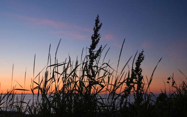 Rhode Island