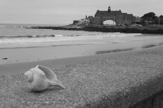 Early summer on the Rhode Island coast