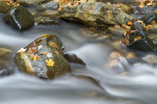 Fall foliage in Southern Vermont  photography workshop with Raymond Klass, Klass Photography