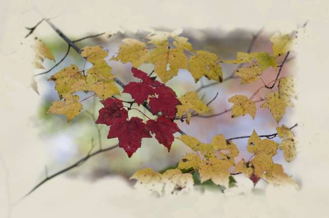 Fall foliage in Southern Vermont  photography workshop with Raymond Klass, Klass Photography