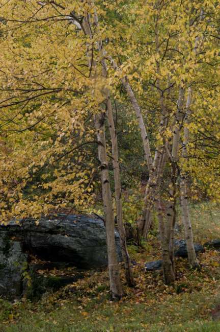 Fall foliage in Southern Vermont  photography workshop with Raymond Klass, Klass Photography